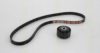TRISCAN 8642 25005 V-Ribbed Belt Set